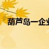 葫蘆島一企業爆炸 爆炸傷亡如何什么原因
