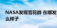 NASA發現雪花群 在哪發現的宇宙雪花群什么樣子
