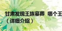 甘肅發現王族墓葬 哪個王族有什么樣的歷史(詳細介紹)
