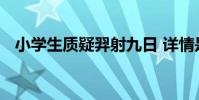 小學生質疑羿射九日 詳情是什么后續如何