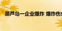 葫蘆島一企業爆炸 爆炸傷亡如何什么原因