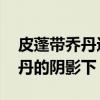 皮蓬帶喬丹進總決賽 為什么說皮蓬生活在喬丹的陰影下 