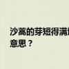 沙蒿的芽短得滿地都是 正是河豚想干的時候 這句話是什么意思？