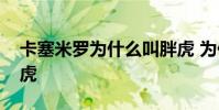 卡塞米羅為什么叫胖虎 為什么叫卡塞米羅胖虎