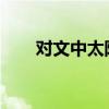 對文中太陽的主要內容進行簡要概括