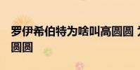 羅伊希伯特為啥叫高圓圓 為什么叫希伯特 高圓圓