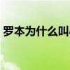 羅本為什么叫小飛俠 為什么叫羅本是羅老漢 