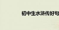 初中生水滸傳好句子節選