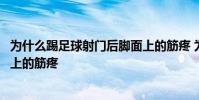 為什么踢足球射門后腳面上的筋疼 為什么踢足球射門后腳面上的筋疼