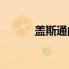蓋斯通的文字主要內容是什么？
