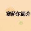 塞薩爾簡介 為什么管塞薩爾叫圣塞薩爾 