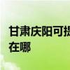 甘肅慶陽可提供阿里斯頓熱水器維修服務地址在哪