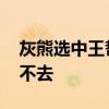 灰熊選中王哲林視頻 王哲林被灰熊選中為何不去 