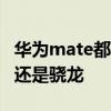 華為mate都有什么型號 華為matev采用麒麟還是驍龍 