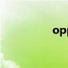 oppofindx5（OPPO）