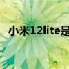小米12lite是曲屏嗎 小米12會采用曲屏嗎 