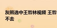 灰熊選中王哲林視頻 王哲林被灰熊選中為何不去