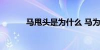 馬甩頭是為什么 馬為什么甩頭