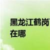 黑龍江鶴崗可提供SKG電水壺維修服務地址在哪