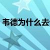 韋德為什么去公牛隊 韋德為什么被公牛拋棄 
