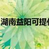 湖南益陽可提供康佳電水壺維修服務地址在哪