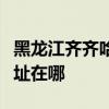 黑龍江齊齊哈爾可提供利仁電水壺維修服務地址在哪