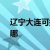 遼寧大連可提供SKG電水壺維修服務地址在哪