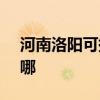 河南洛陽可提供SKG電水壺維修服務地址在哪