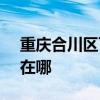 重慶合川區可提供SKG電水壺維修服務地址在哪
