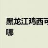 黑龍江雞西可提供歐科豆漿機維修服務地址在哪
