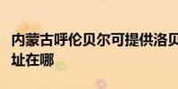 內蒙古呼倫貝爾可提供洛貝豆漿機維修服務地址在哪