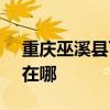 重慶巫溪縣可提供SKG咖啡機維修服務地址在哪