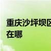 重慶沙坪壩區可提供東菱咖啡機維修服務地址在哪