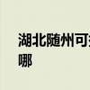 湖北隨州可提供SKG咖啡機維修服務地址在哪