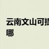 云南文山可提供榮事達咖啡機維修服務地址在哪