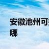安徽池州可提供SKG咖啡機維修服務地址在哪