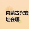 內蒙古興安盟可提供SKG咖啡機維修服務地址在哪