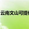云南文山可提供松下咖啡機維修服務地址在哪