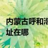 內蒙古呼和浩特可提供東菱咖啡機維修服務地址在哪