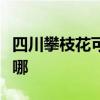 四川攀枝花可提供天際煮蛋器維修服務地址在哪