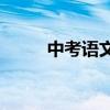 中考語文有哪些高效的學習方法？
