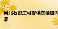 河北石家莊可提供東菱咖啡機維修服務地址在哪