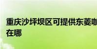重慶沙坪壩區可提供東菱咖啡機維修服務地址在哪
