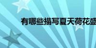 有哪些描寫夏天荷花盛開的詩句?