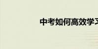 中考如何高效學習語文