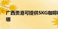 廣西貴港可提供SKG咖啡機維修服務地址在哪