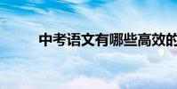 中考語文有哪些高效的學習方法?