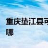 重慶墊江縣可提供忠臣電烤箱維修服務地址在哪