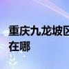 重慶九龍坡區可提供愛德電烤箱維修服務地址在哪