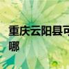 重慶云陽縣可提供華帝電烤箱維修服務地址在哪